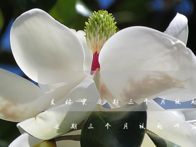 支付宝逾期三个月被起诉后会怎样-支付宝逾期三个月被起诉后会怎样处理