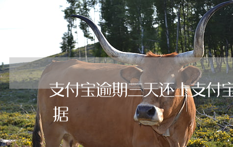 支付宝逾期三天还上 支付宝逾期三天上大数据