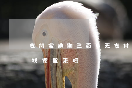支付宝逾期三百多天(支付宝逾期三百多天会找家里来吗)