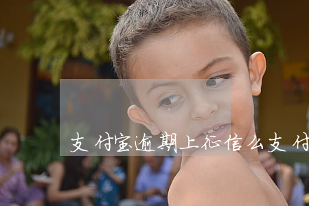 支付宝逾期上征信么(支付宝没逾期上征信吗)