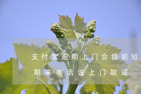 支付宝逾期上门会提前短信通知吗(支付宝逾期来电话说上门取证)