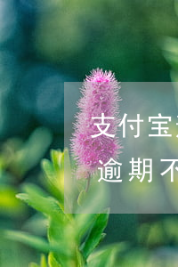 支付宝逾期不打电话会直接上门吗-支付宝逾期不打电话会直接上门吗是真的吗