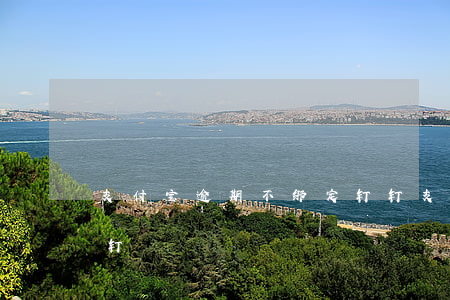 支付宝逾期不绑定钉钉(支付宝逾期不绑定钉钉)