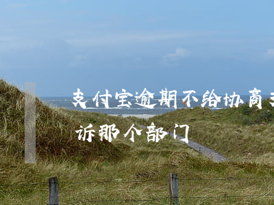 支付宝逾期不给协商(支付宝逾期不给协商投诉那个部门)