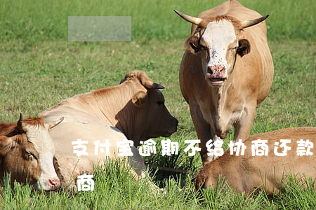 支付宝逾期不给协商还款（支付宝欠款逾期协商）