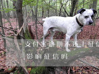 支付宝逾期不还上征信么(支付宝逾期还了会影响征信吗)