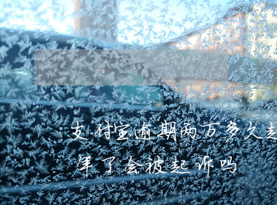 支付宝逾期两万多久起诉(支付宝逾期两万 两年了会被起诉吗)