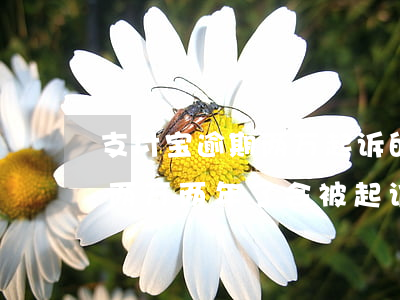 支付宝逾期两万起诉的几率高吗(支付宝逾期两万 两年了会被起诉吗)