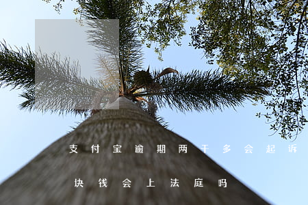 支付宝逾期两千多,会起诉吗?（支付宝逾期几千块钱会上法庭吗）