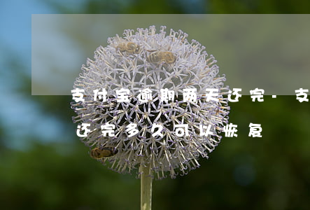 支付宝逾期两天还完-支付宝逾期两个月后还完多久可以恢复