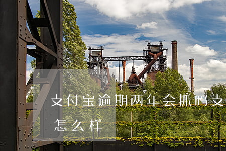 支付宝逾期两年会抓吗(支付宝逾期两年了会怎么样)