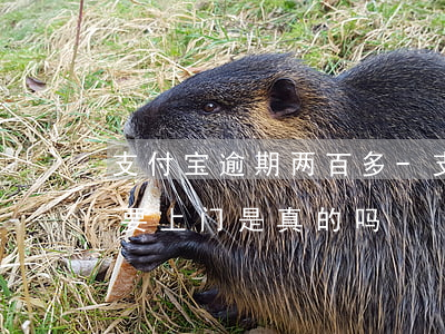 支付宝逾期两百多-支付宝逾期两百多天说要上门是真的吗