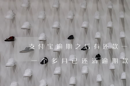 支付宝逾期之后有还款一部分-支付宝逾期一个多月已还清逾期款,被要求还全款