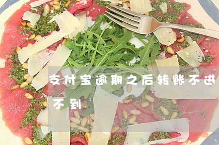 支付宝逾期之后转账不进去(支付宝转账迟迟不到)
