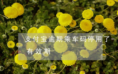 支付宝逾期乘车码停用了-支付宝乘车码过有效期