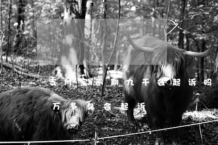 支付宝逾期九千会起诉吗 支付宝逾期逾期十万多久会起诉