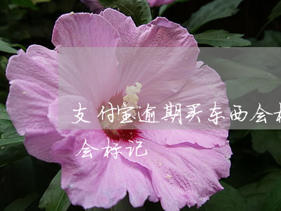 支付宝逾期买东西会标记 支付宝逾期买东西会标记