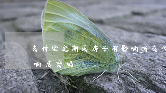 支付宝逾期买房子有影响吗(支付宝有逾期影响房贷吗)