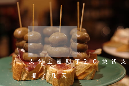 支付宝逾期了20块钱(支付宝逾期几十块逾期了几天)