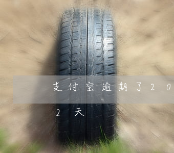 支付宝逾期了20多天-支付宝不小心逾期2天