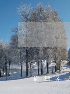 支付宝逾期了三天还可以分期还嘛-支付宝逾期3天的还进去可以继续贷款吗