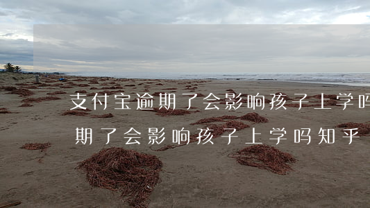 支付宝逾期了会影响孩子上学吗-支付宝逾期了会影响孩子上学吗知乎