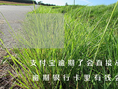 支付宝逾期了会直接从卡里扣钱吗-支付宝逾期银行卡里有钱会不会自动扣款