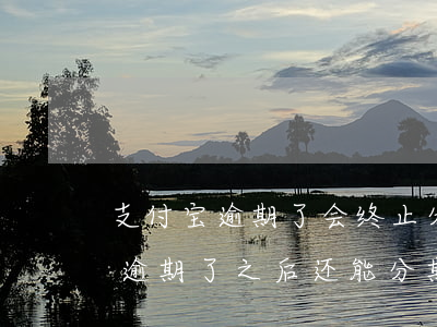 支付宝逾期了会终止分期吗 支付宝分期付款逾期了,之后还能分期吗