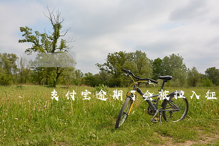 支付宝逾期了会被拉入征信吗