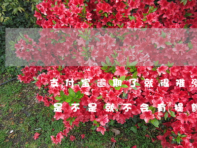 支付宝逾期了就很难涨额度-支付宝逾期过是不是就不会有提额机会了