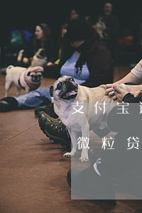 支付宝逾期了微粒贷也用不了吗?（支付宝逾期微粒贷可以借吗）