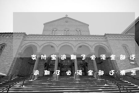 支付宝逾期了必须全部还清怎么办-支付宝逾期了必须全部还清怎么办呢