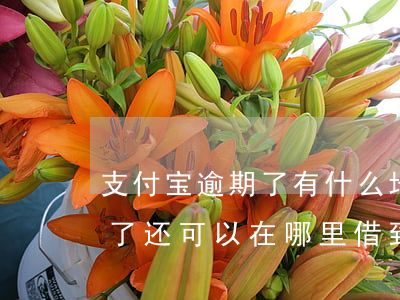 支付宝逾期了有什么地方可以借(支付宝逾期了还可以在哪里借到钱)