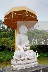 支付宝逾期了能买车吗（支付宝逾期能零首付购车）