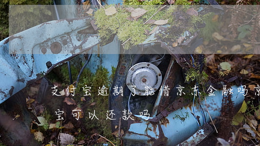支付宝逾期了能借京东金融吗(京东金融支付宝可以还款吗)