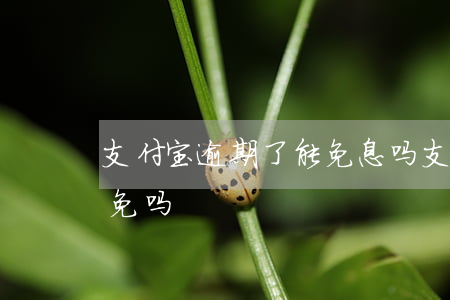支付宝逾期了能免息吗 支付宝逾期费用能减免吗