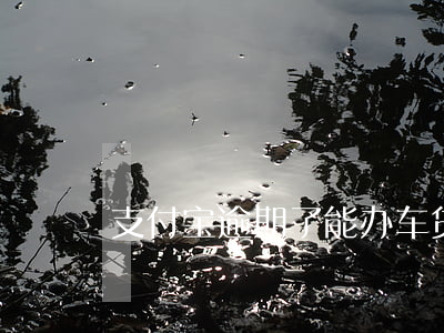 支付宝逾期了能办车贷吗