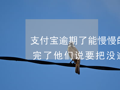 支付宝逾期了能慢慢的还吗(支付宝逾期的还完了他们说要把没逾期的也还了)