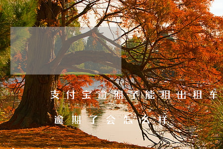 支付宝逾期了能租出租车吗(在支付宝租手机逾期了会怎么样)