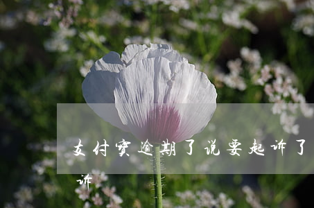 支付宝逾期了说要起诉了（支付宝逾期后被起诉）