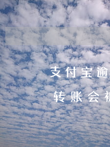 支付宝逾期了转账会被秒扣嘛(支付宝逾期了转账会被秒扣嘛)