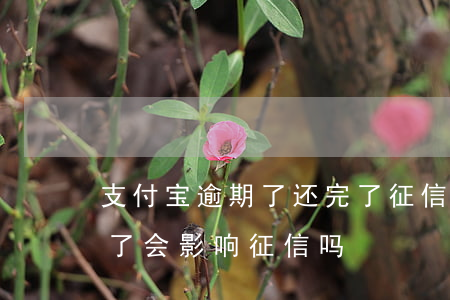 支付宝逾期了还完了征信上还 支付宝逾期还了会影响征信吗
