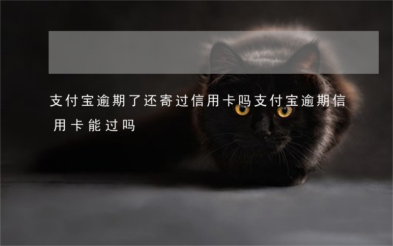 支付宝逾期了还寄过信用卡吗(支付宝逾期信用卡能过吗)