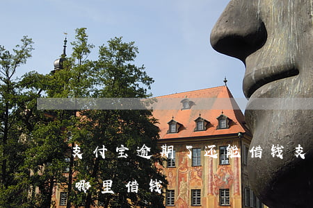 支付宝逾期了还能借钱(支付宝逾期还可以在哪里借钱)