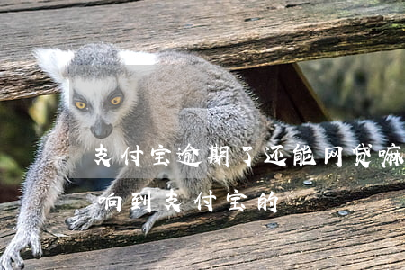 支付宝逾期了还能网贷嘛(网贷逾期会不会影响到支付宝的)