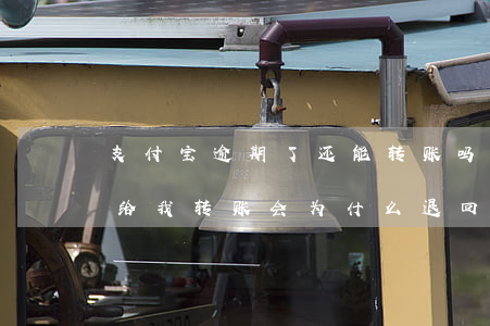 支付宝逾期了还能转账吗-支付宝逾期别人给我转账会为什么退回