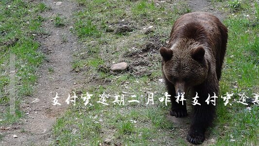 支付宝逾期二月咋样(支付宝逾期两天有事吗)