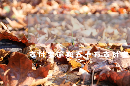 支付宝逾期五十万(支付宝逾期五百多天了)