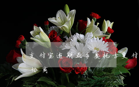 支付宝逾期五千委托方(支付宝五千逾期怎么协商)