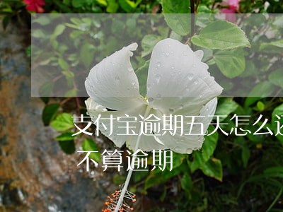 支付宝逾期五天怎么还款(支付宝几天内还款不算逾期)